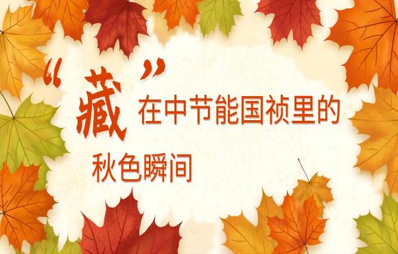 四季国祯丨“藏”在金沙js9999777里的秋色瞬间